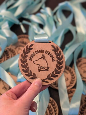 Médaille en bois simple